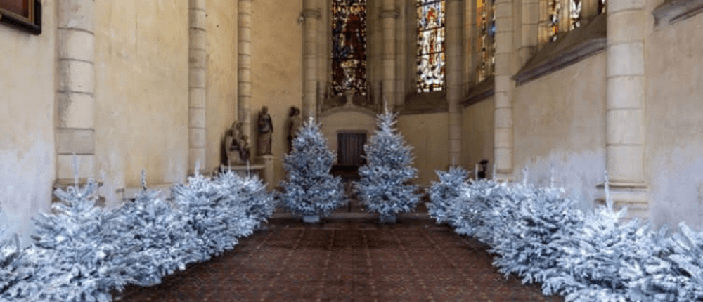 Christmas celebrations at the Royal Castle of Blois
